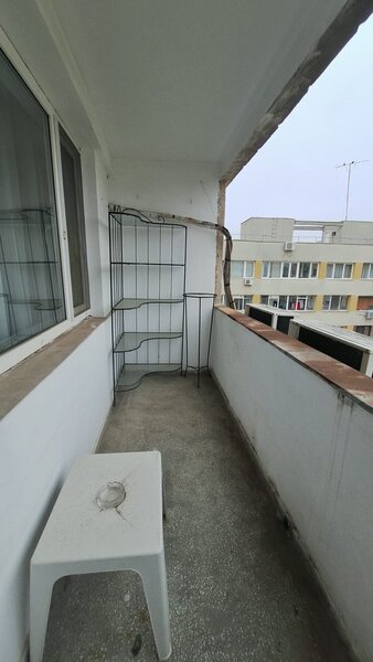 Colentina -Teiul Doamnei