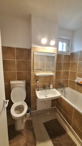 Colentina -Teiul Doamnei