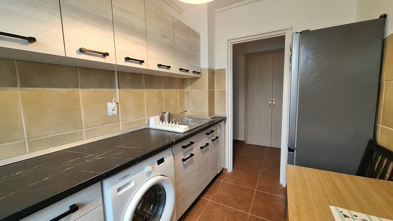 Colentina -Teiul Doamnei