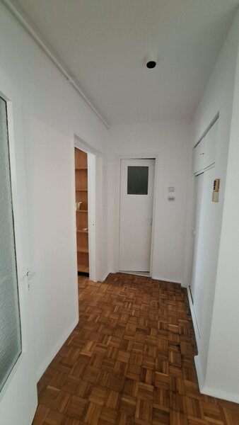 Colentina -Teiul Doamnei