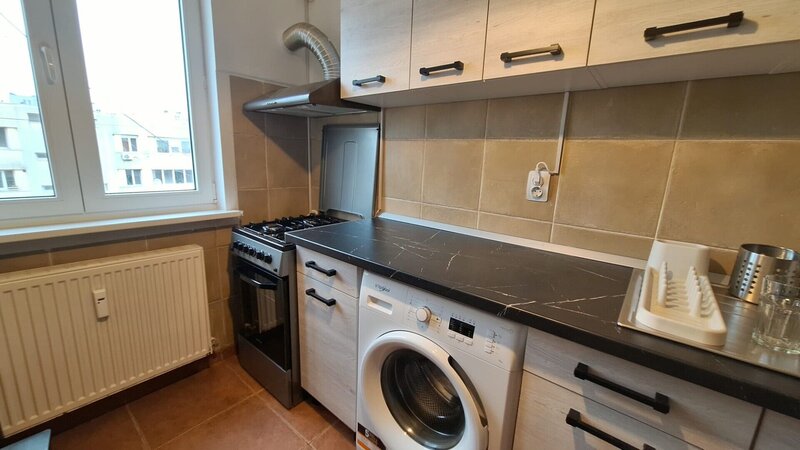 Colentina -Teiul Doamnei