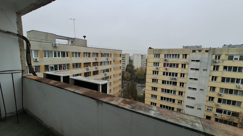 Colentina -Teiul Doamnei