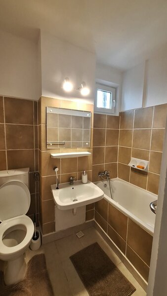 Colentina -Teiul Doamnei