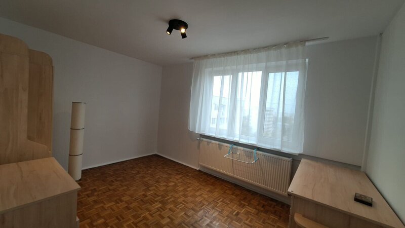 Colentina -Teiul Doamnei