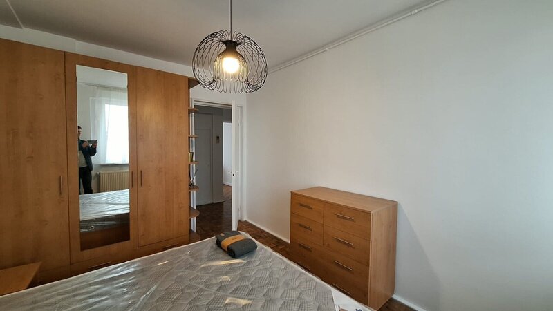 Colentina -Teiul Doamnei