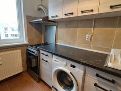 Colentina -Teiul Doamnei