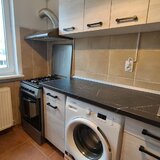 Colentina -Teiul Doamnei